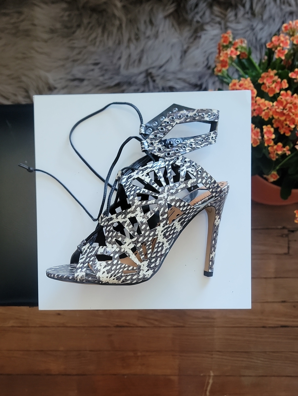 Dolce Vita Black /White Patterned Heels NWT